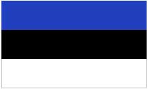 Estonian flag.