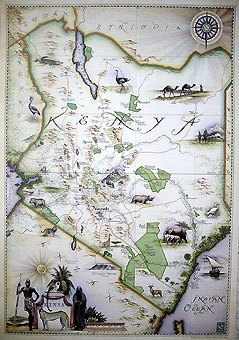 Blue Rhino edition of the Kenya map.